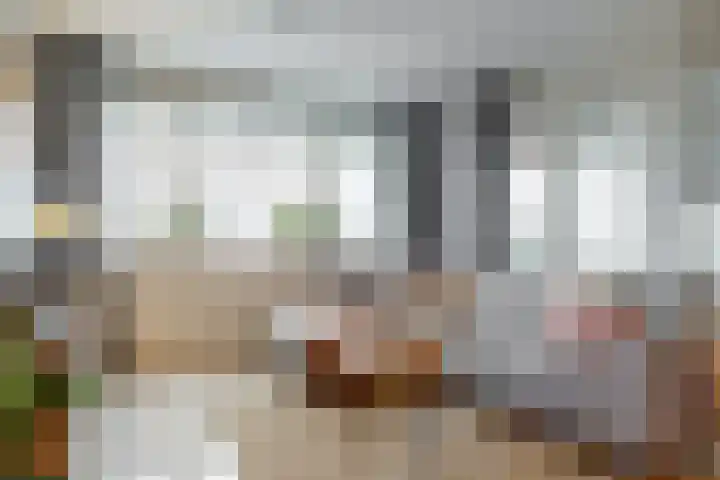 Persimoenstraat 21 Utrecht thumbnail 4