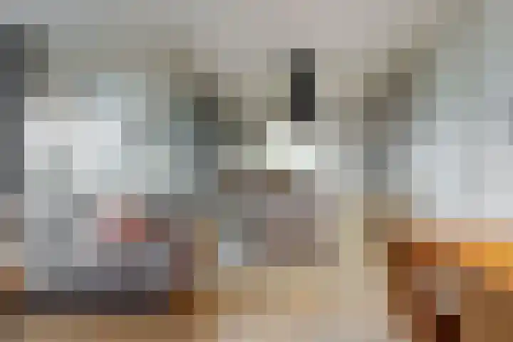 Persimoenstraat 21 Utrecht thumbnail 7