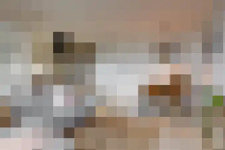 Persimoenstraat 21 Utrecht thumbnail 8