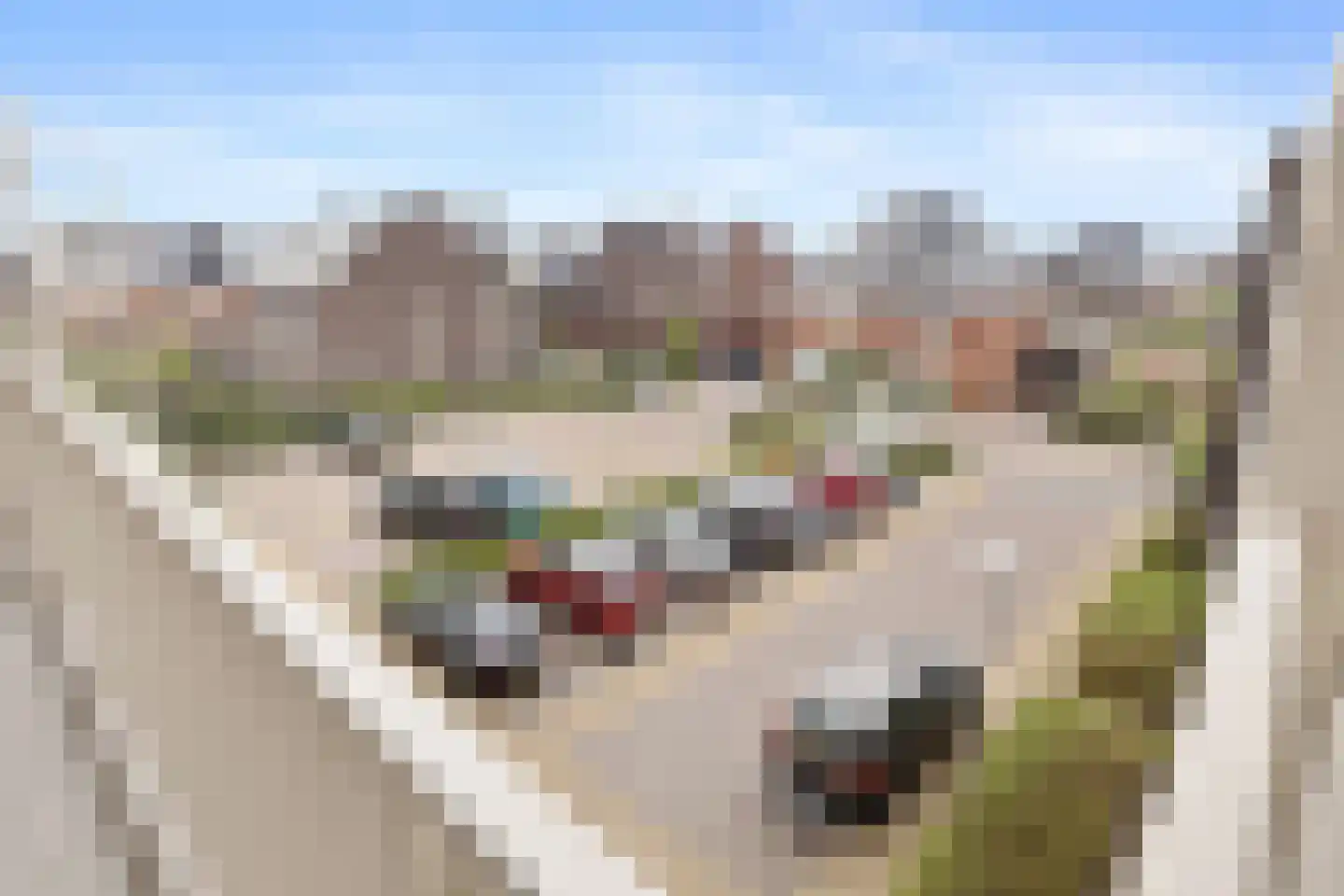 Persimoenstraat 35 Utrecht thumbnail 27