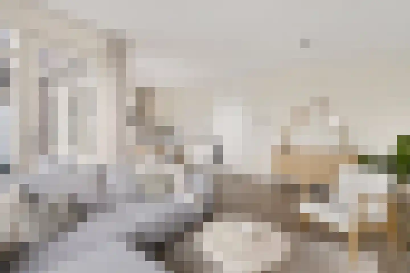 Persimoenstraat 35 Utrecht thumbnail 9