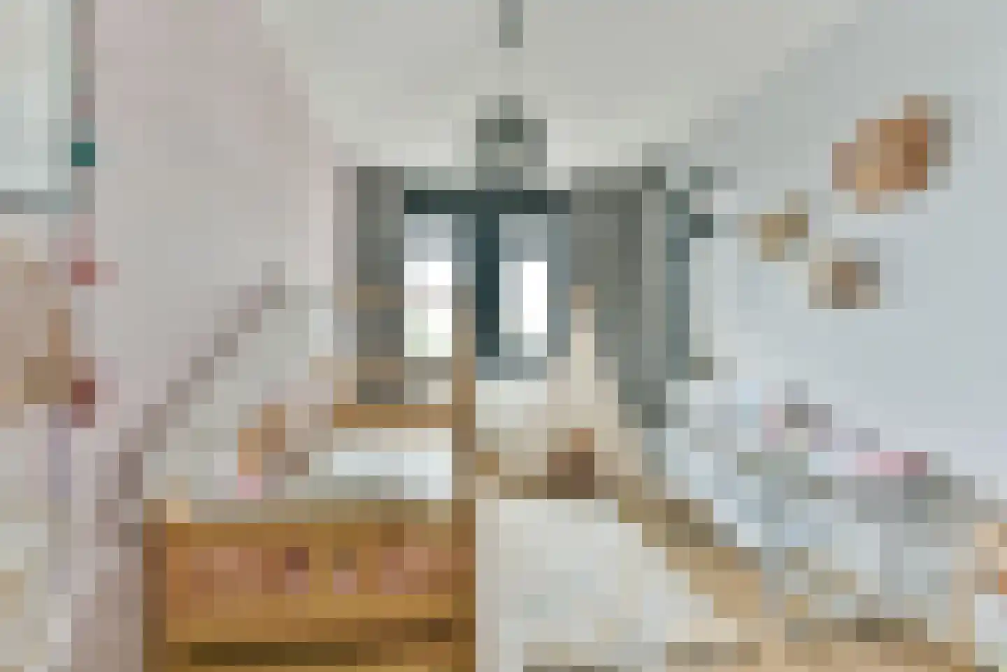 Persimoenstraat 63 Utrecht thumbnail 31