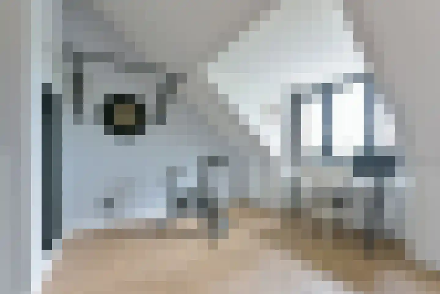 Persimoenstraat 63 Utrecht thumbnail 41