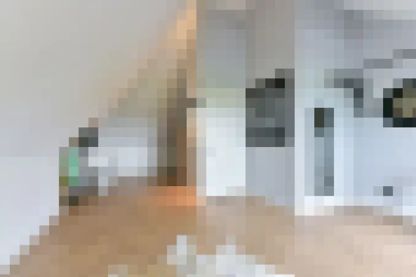 Persimoenstraat 63 Utrecht thumbnail 42