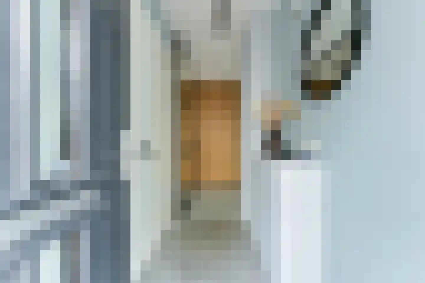 Persimoenstraat 63 Utrecht thumbnail 7