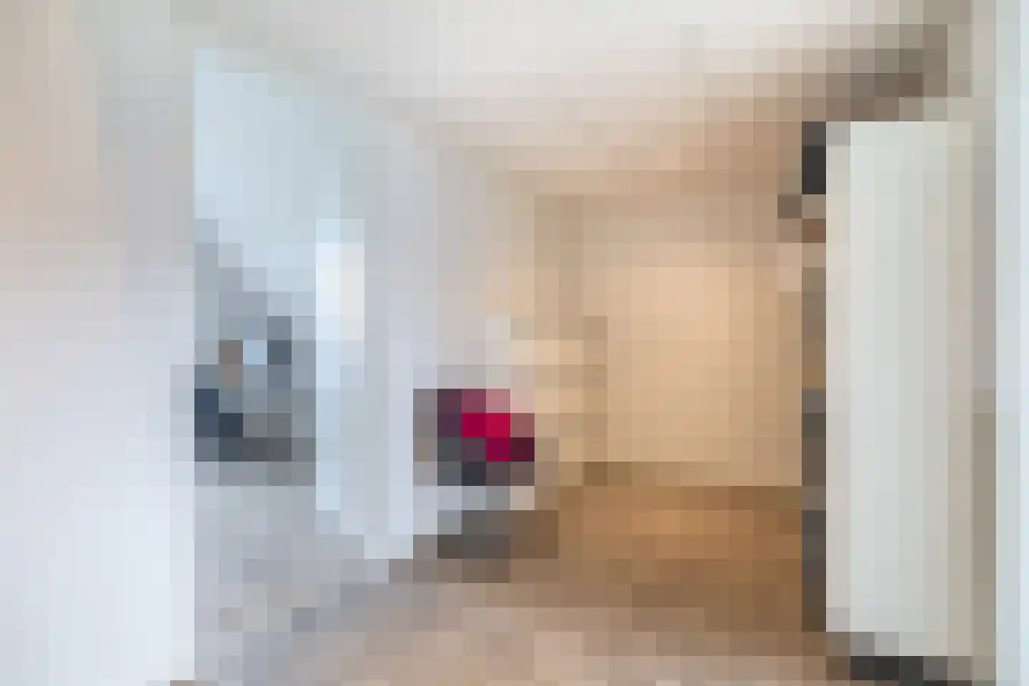 Persimoenstraat 89 Utrecht thumbnail 42