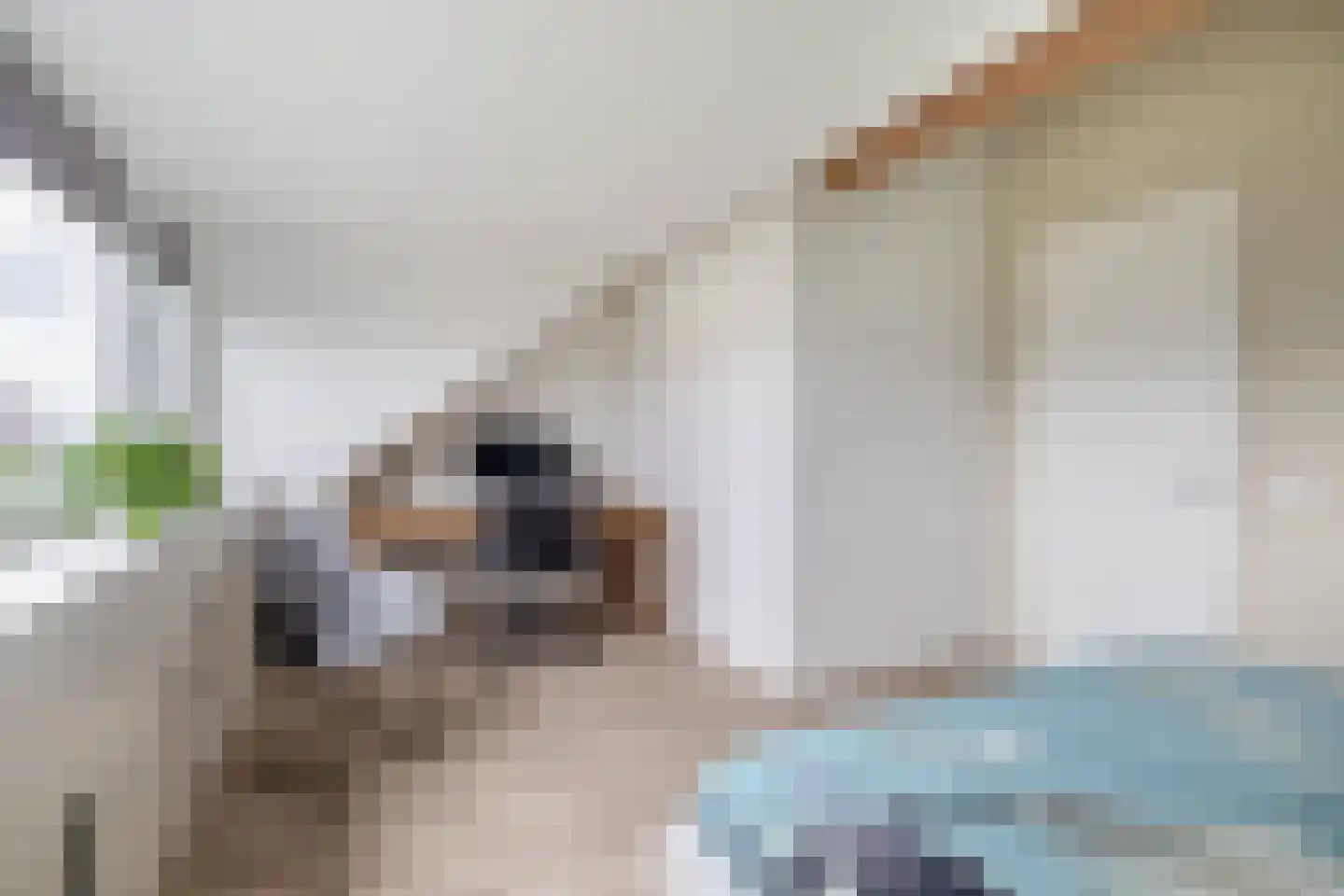 Persimoenstraat 89 Utrecht thumbnail 44