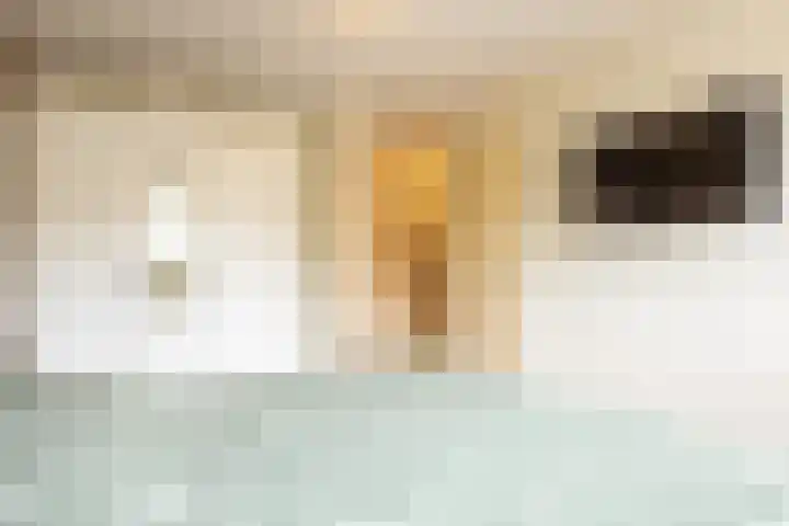Persiuspad 12 Sittard thumbnail 18