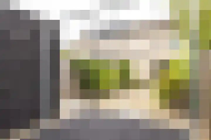 Persiuspad 12 Sittard thumbnail 30