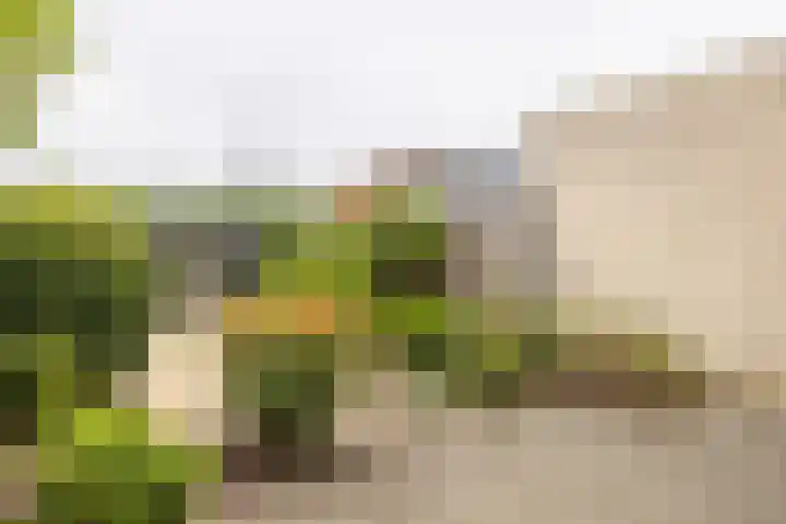 Persiuspad 12 Sittard thumbnail 33