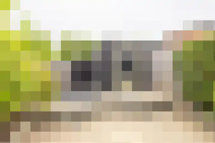 Persiuspad 12 Sittard thumbnail 34
