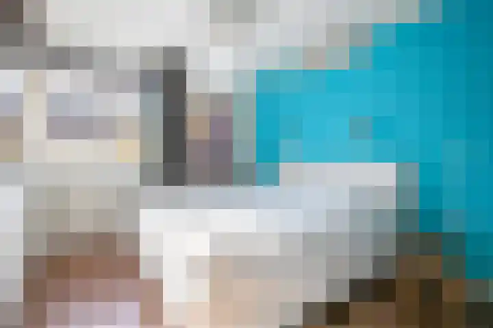 Persiuspad 4 Sittard thumbnail 10