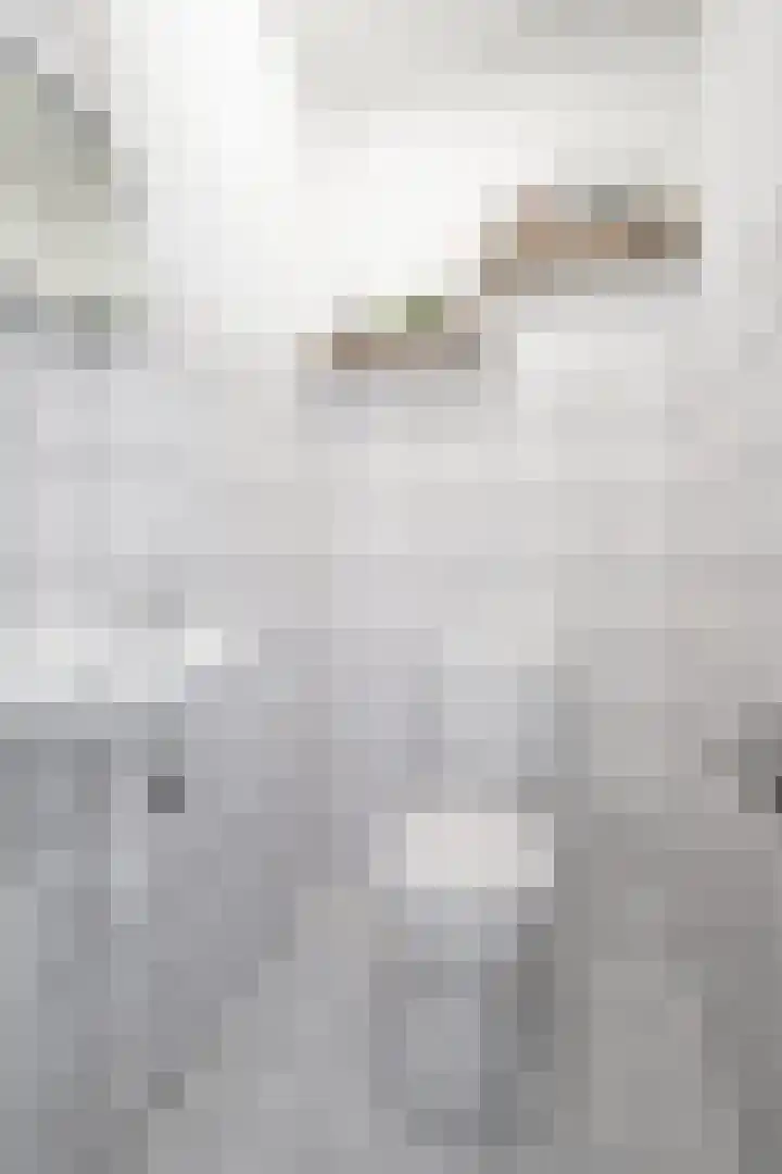 Persiuspad 4 Sittard thumbnail 8