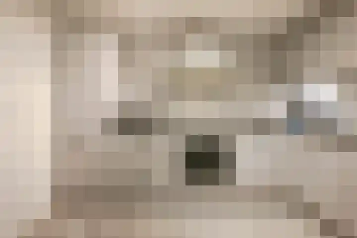 Persoonshaven 3 A Rotterdam thumbnail 11