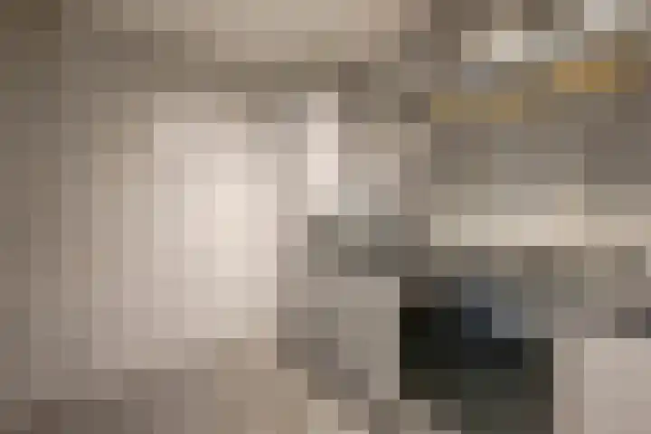 Persoonshaven 3 A Rotterdam thumbnail 12