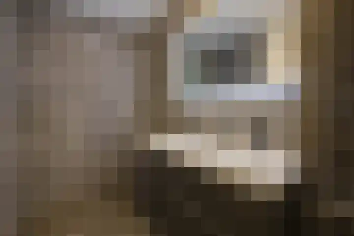 Persoonshaven 3 A Rotterdam thumbnail 21