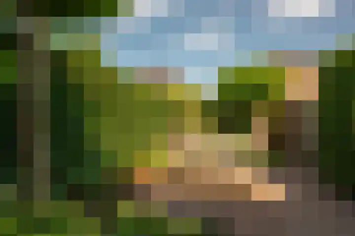 Perupark 4 Alphen aan den Rijn thumbnail 20