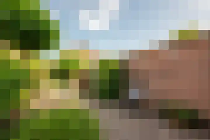 Perupark 4 Alphen aan den Rijn thumbnail 21