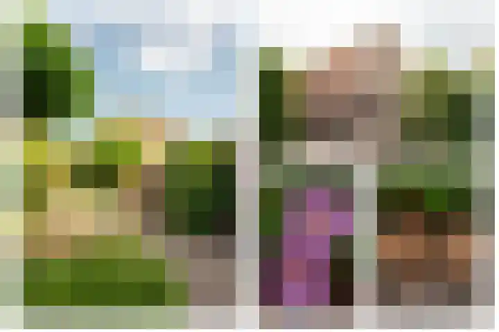 Perupark 4 Alphen aan den Rijn thumbnail 23