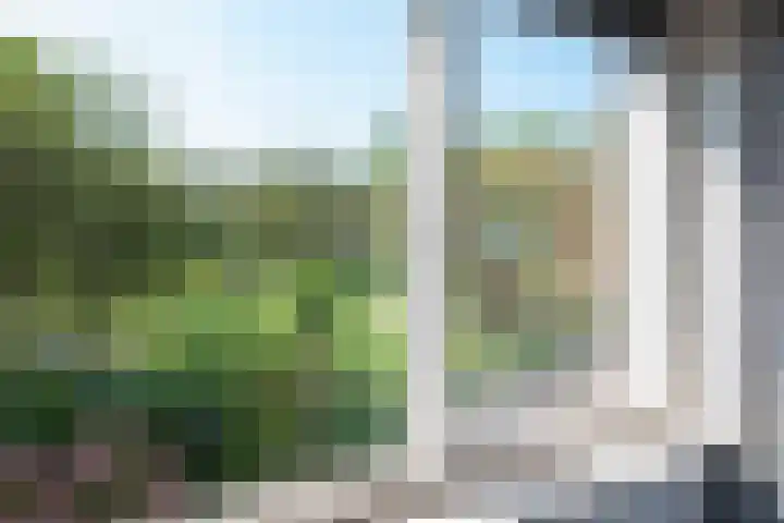 Perupark 4 Alphen aan den Rijn thumbnail 34
