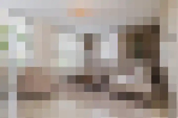 Perwijs 41 Zevenbergen thumbnail 10