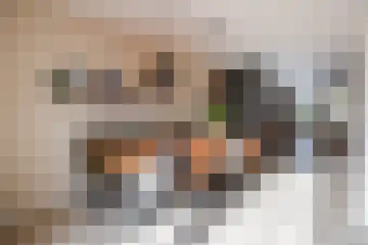 Perwijs 41 Zevenbergen thumbnail 13