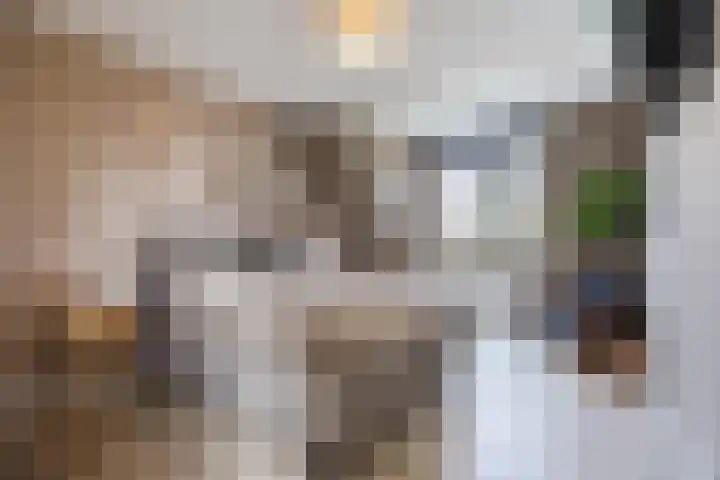 Perwijs 41 Zevenbergen thumbnail 22