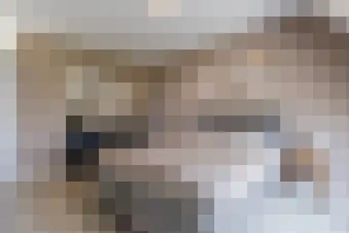 Perwijs 41 Zevenbergen thumbnail 23