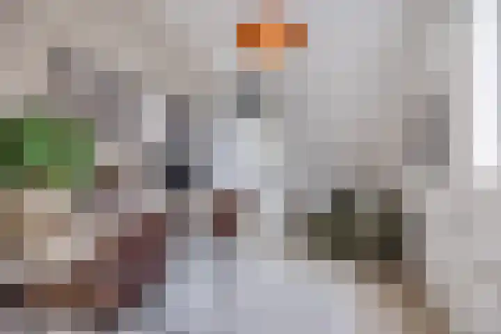 Perwijs 41 Zevenbergen thumbnail 25