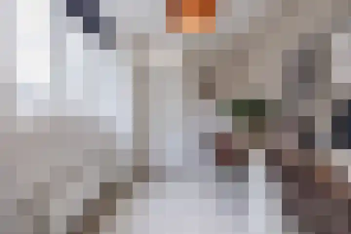 Perwijs 41 Zevenbergen thumbnail 26