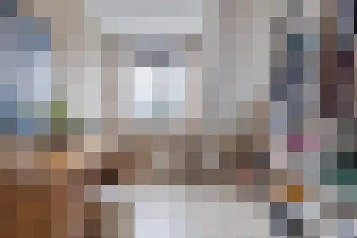 Perwijs 41 Zevenbergen thumbnail 27