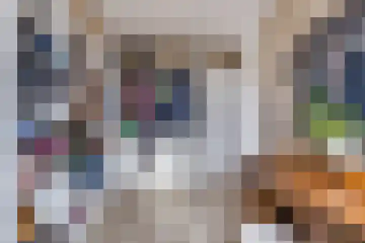 Perwijs 41 Zevenbergen thumbnail 28