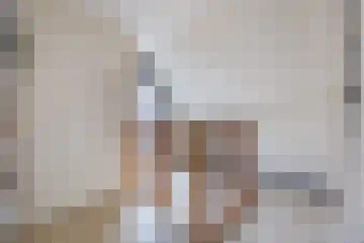 Perwijs 41 Zevenbergen thumbnail 31