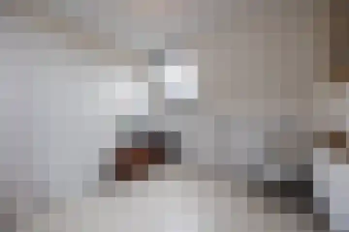 Perwijs 41 Zevenbergen thumbnail 33