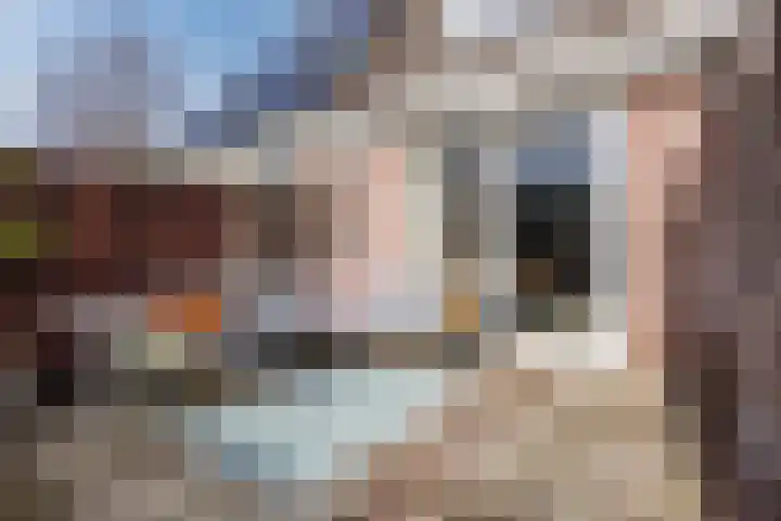 Perwijs 41 Zevenbergen thumbnail 34