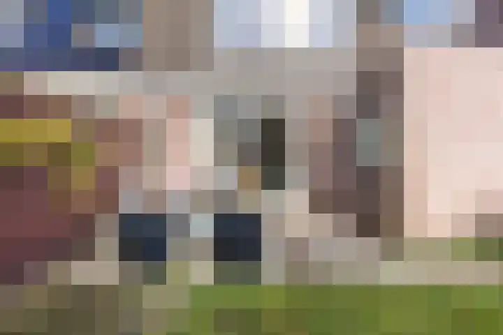Perwijs 41 Zevenbergen thumbnail 36