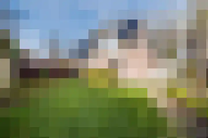 Perwijs 41 Zevenbergen thumbnail 37