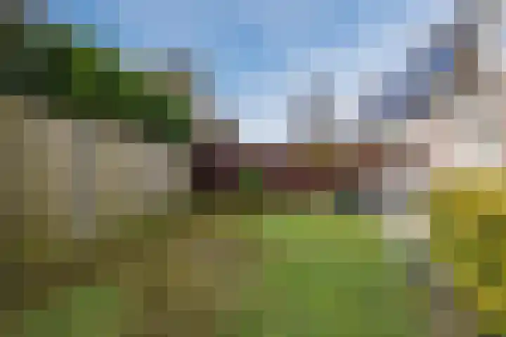 Perwijs 41 Zevenbergen thumbnail 38