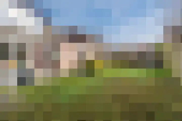 Perwijs 41 Zevenbergen thumbnail 4