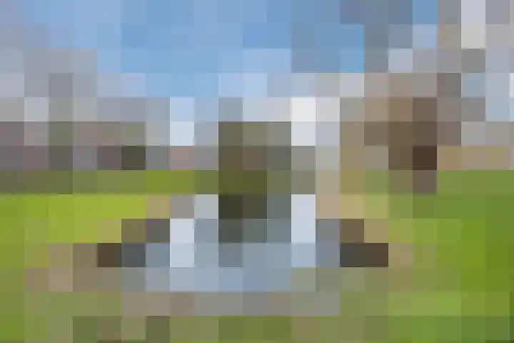 Perwijs 41 Zevenbergen thumbnail 41