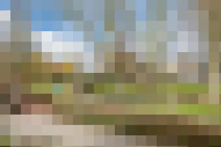 Perwijs 41 Zevenbergen thumbnail 6