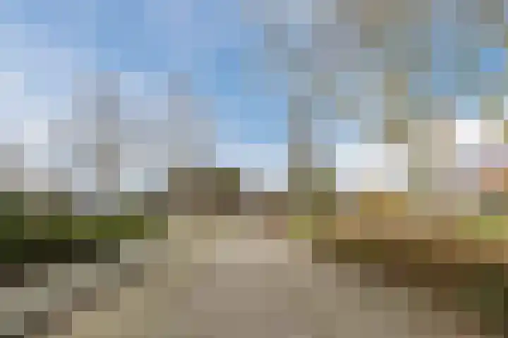 Perwijs 41 Zevenbergen thumbnail 7