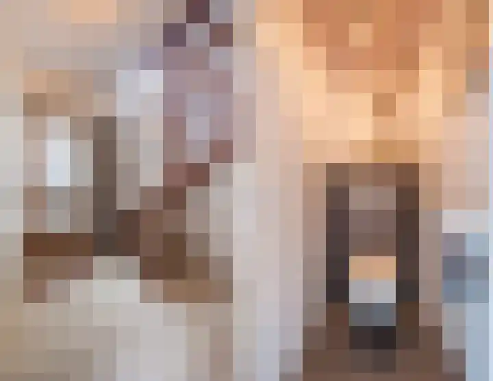 Perwijs 41 Zevenbergen thumbnail 8