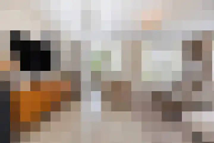 Perwijs 41 Zevenbergen thumbnail 9