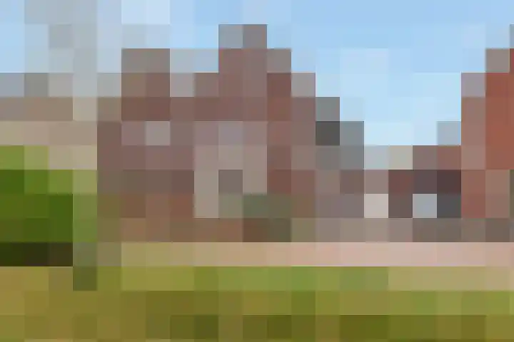 Perzik 20 Nijkerk