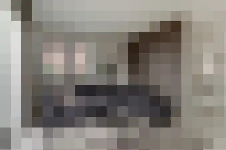 Perzikengaarde 16 Hendrik-Ido-Ambacht thumbnail 10