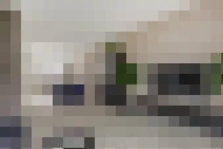 Perzikengaarde 16 Hendrik-Ido-Ambacht thumbnail 11