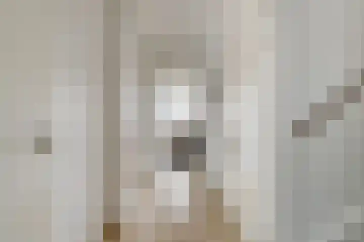 Perzikengaarde 16 Hendrik-Ido-Ambacht thumbnail 17