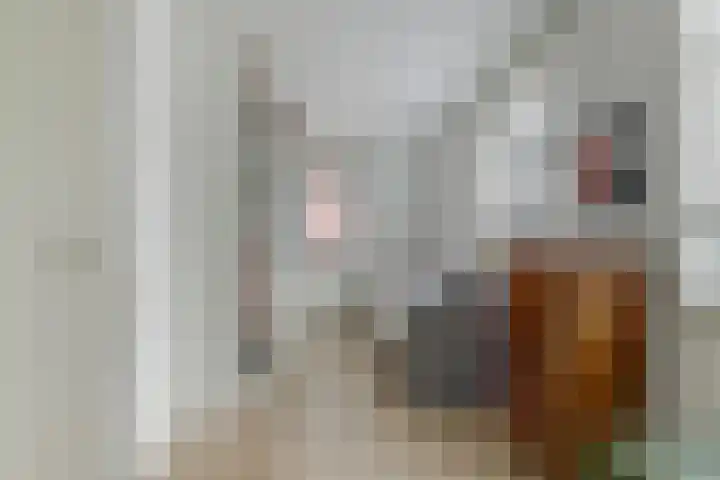 Perzikengaarde 16 Hendrik-Ido-Ambacht thumbnail 23