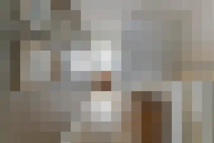 Perzikengaarde 16 Hendrik-Ido-Ambacht thumbnail 29